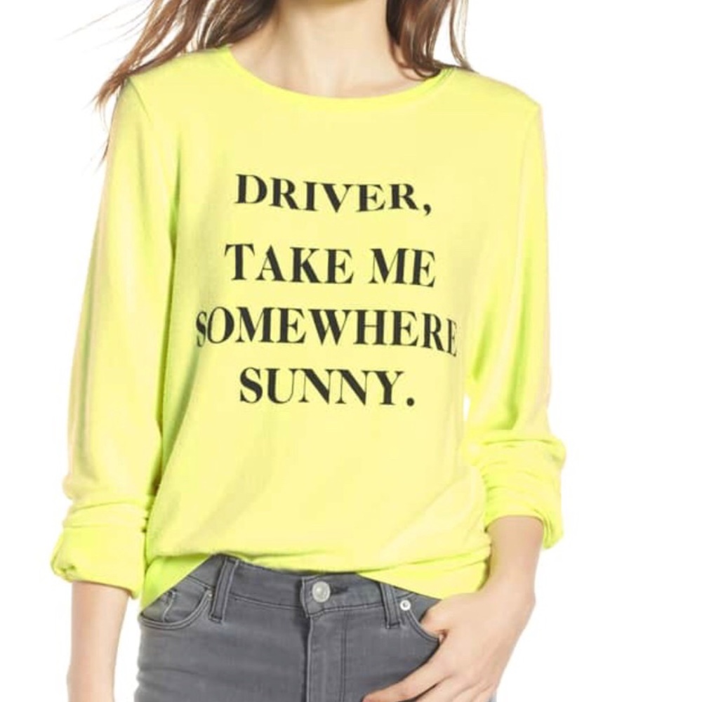 Wildfox “Driver Take Me Somewhere Sunny” Jumper